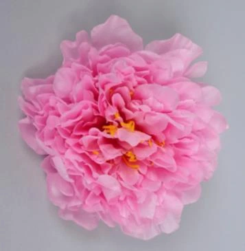 Peony Head Big Solid
